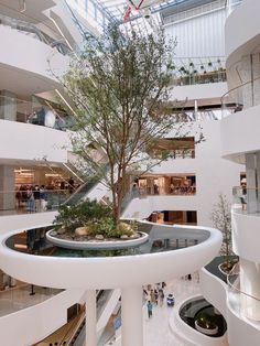 a tree is growing in the center of a building