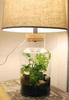 a lamp that is on top of a table with some plants in it and rocks