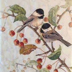 two birds sitting on a branch with berries and leaves