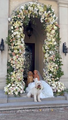 two dogs in front of a wedding arch with flowers on the door and one dog standing next to it