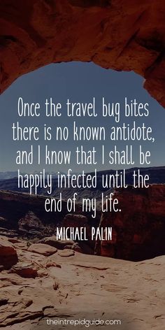 the quote for michael pali on travel bug bites, there is no known antibiotice and i know that i shall be happy