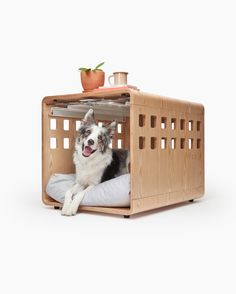 a dog laying in a wooden crate on top of a white pillow and potted plant