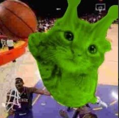 an image of a cat that is in the air with a basketball ball behind it