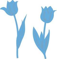 three blue tulips on a white background are shown in the shape of flowers