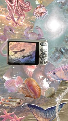 an underwater scene with shells and sea animals in the water, while a camera is being used to take pictures