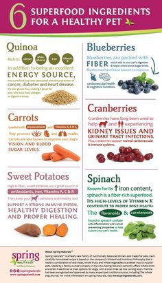 the health benefits of carrots and blueberries are shown in this info sheet, which includes