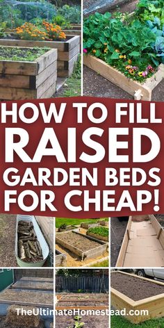 how to fill raised garden beds for cheap