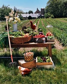 an image of a farm scene with chickens and vegetables