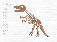 an image of a dinosaur skeleton with the words 5 sizes, 3 pecs and 4 pips