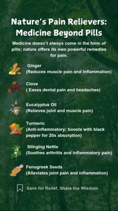 #health #healthyliving #healthylivingtips Natural Pain Relievers, Stinging Nettle, Fenugreek Seeds, Eucalyptus Oil, Muscle Pain, Healthy Living Tips, Health Tips, Healthy Living, Stuffed Peppers