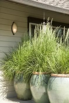 two large planters with grass growing out of them