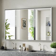 a bathroom sink sitting under a large mirror next to a shelf with a plant on it