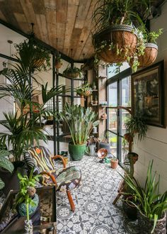 a room filled with lots of potted plants