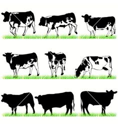 the silhouettes of cows are shown in different positions and sizes, including one standing on grass