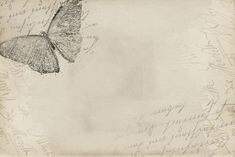 a drawing of a butterfly with writing on it