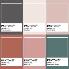 pantone's color swatches with different shades