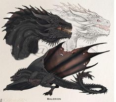 two black and white dragon illustrations on paper