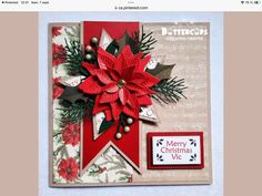 a christmas card with poinsettis and holly