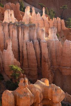 the hoodoos are very large and tall in this area, with little trees growing out of them