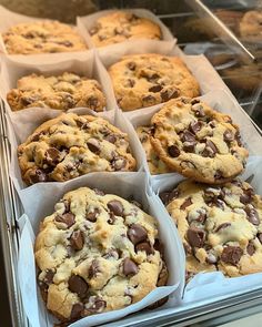 chocolate chip cookies and muffins are in trays