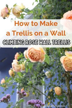 flowers with text overlay that reads how to make a trellis on a wall climbing rose wall trellis