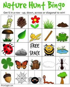 a printable game for kids to play with the nature hunt bugo theme, which includes