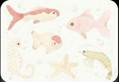 an image of sea animals in the ocean with bubbles and starfishs on it