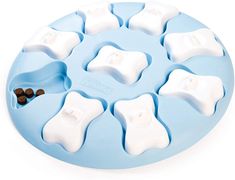 an ice tray with six pieces of chocolate in it