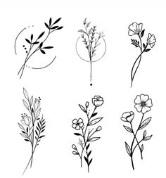 four different types of flowers drawn in black ink on a white background, each with one flower