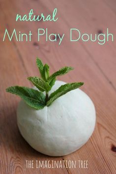 a close up of a plant in a ball on a wooden surface with text overlay that reads natural mint play dough