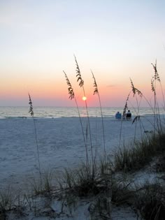 the sun is setting at the beach with sea oats in the foreground