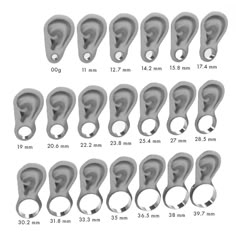 the different types of ears are shown in black and white, with measurements for each ear