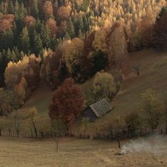 a small cabin in the middle of a field with trees and hills in the background