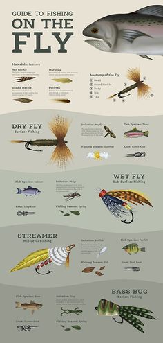 the different types of fishing lures are shown in this poster, which shows how they can