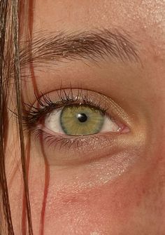 Green Eyes In Sunlight, Natural Green Eyes, Light Green Eyes, Yellow Green Eyes, Eye Texture, Eye Base, Golden Eyes, Green Eye