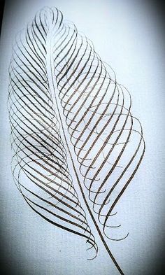 a drawing of a long leaf on a white sheet with black lines in the middle