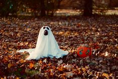 a white ghost sitting in the leaves next to a pumpkin