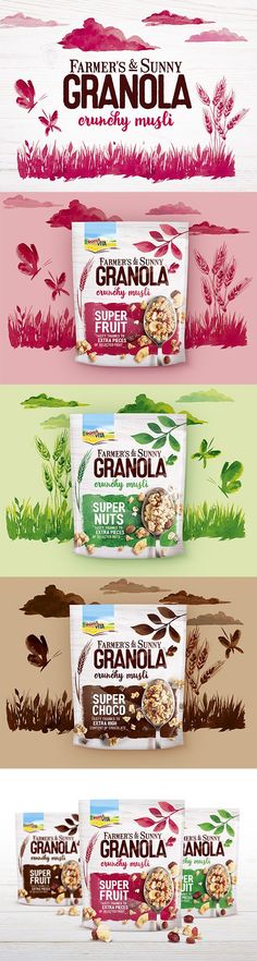 three different flavors of granola are shown in this graphic style, with the words granola written on them