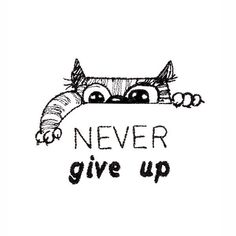 a black and white drawing of a cat with the words never give up