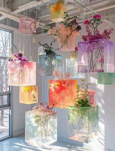 several vases with flowers hanging from the ceiling