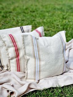 two pillows sitting on top of a blanket in the grass