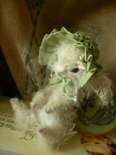 a small white teddy bear sitting on top of a book with a green bow around it's head