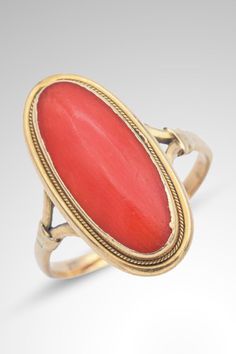 Elevate your style with this elegant vintage 18K yellow gold cocktail ring showcasing a vivid red coral oval cabochon. Sized at 5.5, it's a statement piece for any occasion. #VintageFashion #GoldJewelry #RedCoralRing Classic Red Ruby Ring, Oval Cabochon, Classic Red Ruby Ring With Oval Cabochon, Formal Red Domed Rings, Red Domed Gemstone Rings, Red Domed Rings For Anniversary, Red Domed Anniversary Ring, Red Oval Cabochon Ring, Red Oval Cabochon Signet Ring For Formal Occasions, Classic Red Oval Cabochon Signet Ring