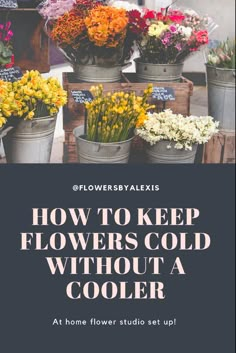 How to keep flowers cold without a cooler Florist Tools Organization, Flower Studio At Home, Flower Home Aesthetic, Flower Farmer Outfit, Walk In Flower Cooler, Flower Cooler Ideas, Basement Floral Studio, Home Flower Shop, Florist Storage Ideas