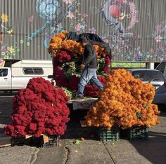 a man standing on top of a cart filled with orange and red chrysant flowers