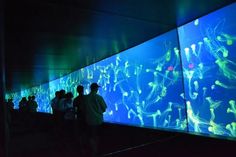 people standing in front of a large screen with jellyfishs on it at night