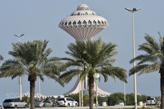 palm trees line the street in front of a large building with a dome on top