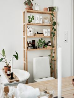 a white toilet sitting next to a wooden shelf filled with plants