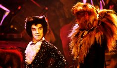 Rum Tum Tugger X Mistoffelees, Rum Tum Tugger, The Great Comet, Andrew Lloyd Webber, Team Starkid