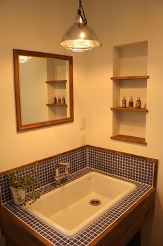 a bathroom sink under a mirror with shelves above it and a plant on the counter